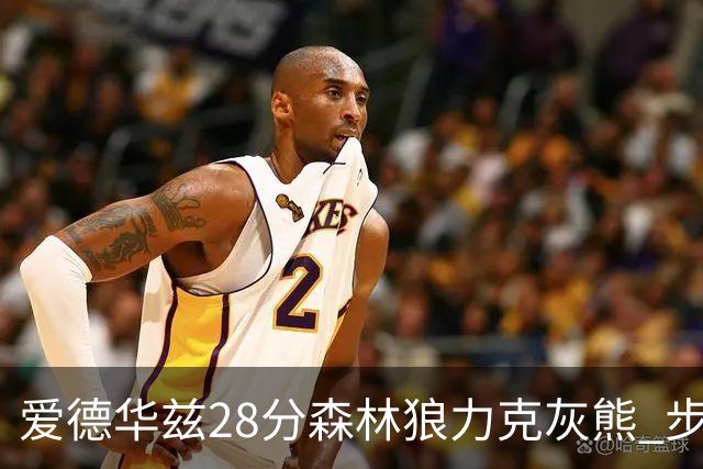 爱德华兹28分森林狼力克灰熊 步行者险胜国王